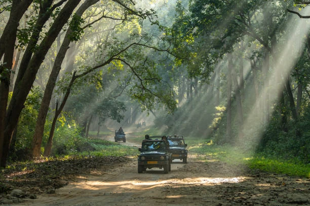 Corbett Safari Jeep